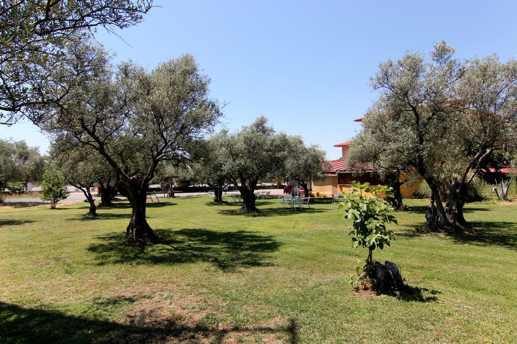 Hotel Rural Hojaranzos Tejeda Del Tietar Exterior photo